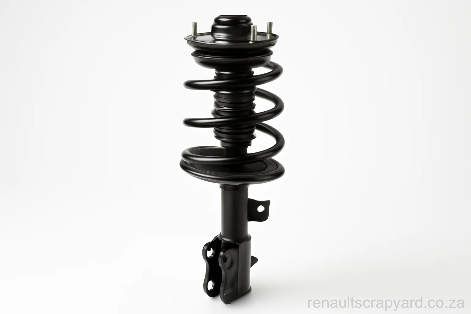 Struts for Renault Duster